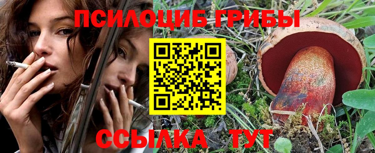 Псилоцибиновые грибы Psilocybine cubensis Петрозаводск