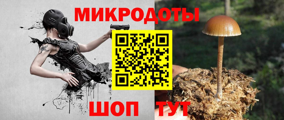 Петрозаводск  Псилоцибиновые грибы GOLDEN TEACHER  Вход с VPN  Галлюциногенные грибы Cubensis 